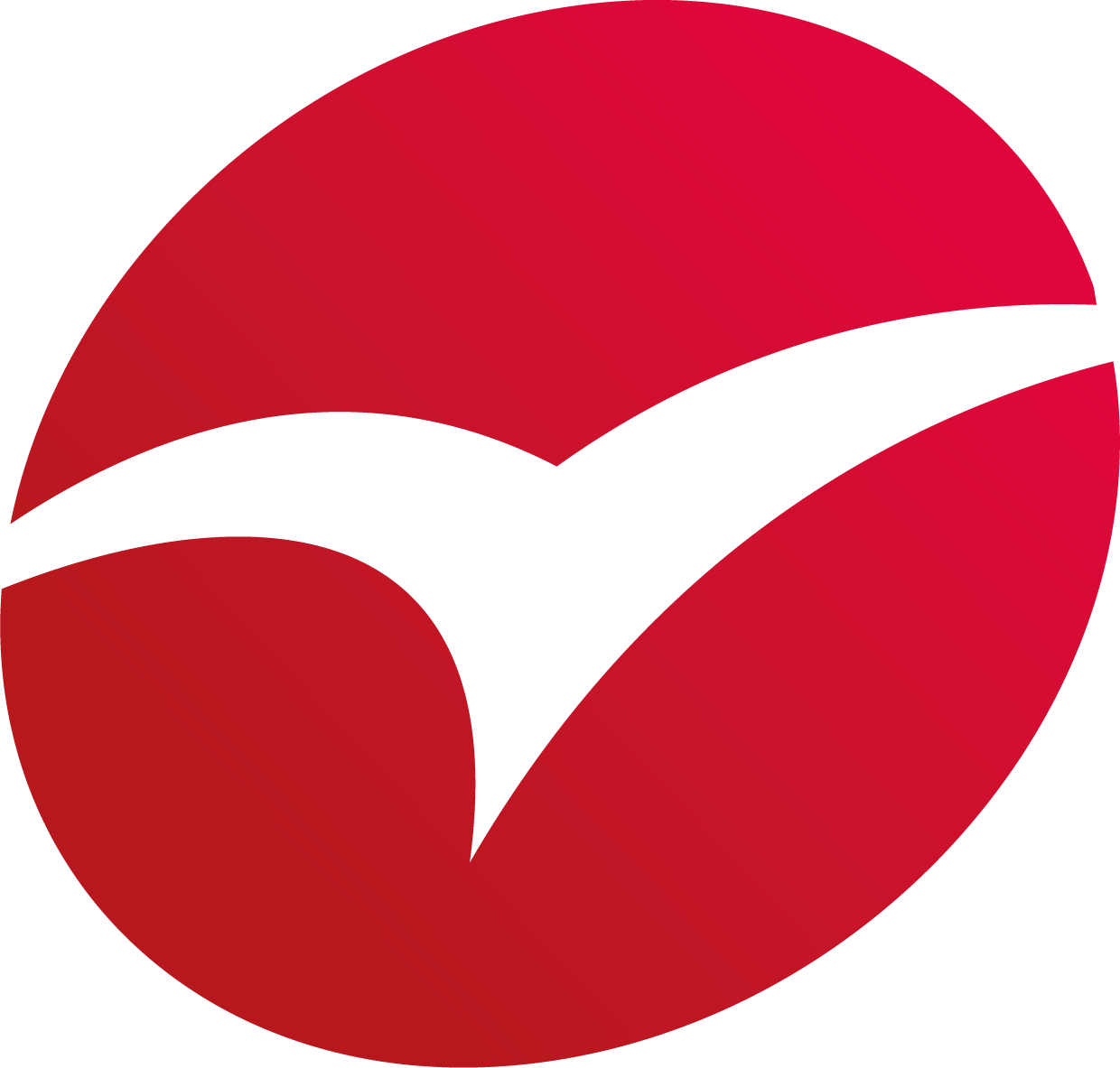 Logo puce Pilote